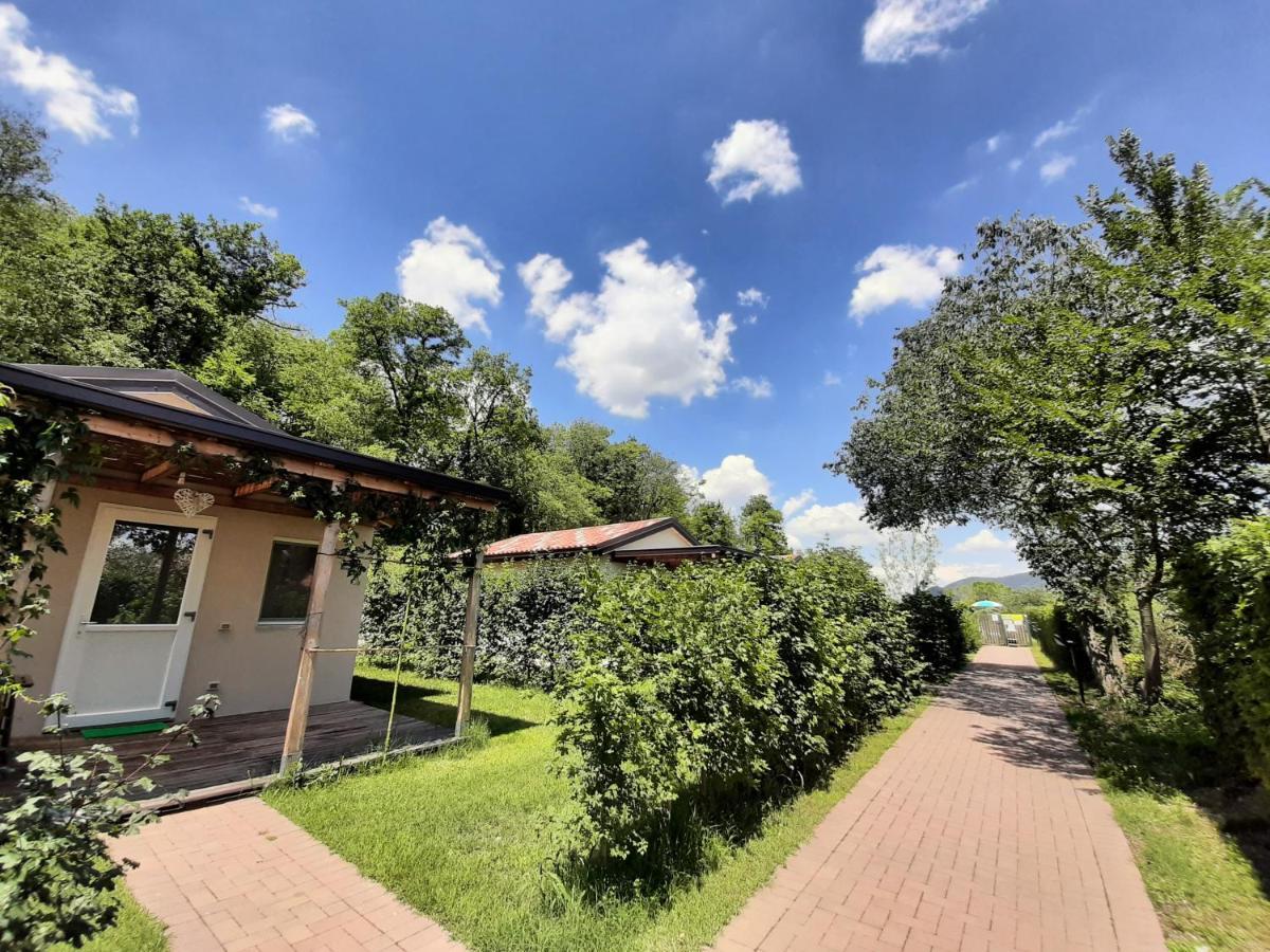 Agriturismo Alba Baone المظهر الخارجي الصورة